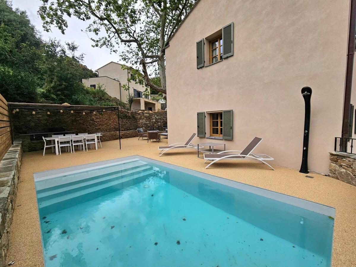 Magnifique Avec Piscine- Hauteurs De